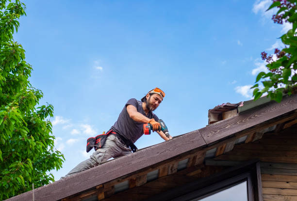 Best Sheet Metal Roofing  in West Point, VA